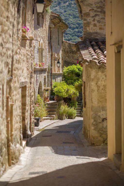 Charmante Maison A Saint Guilhem Le Desert 외부 사진